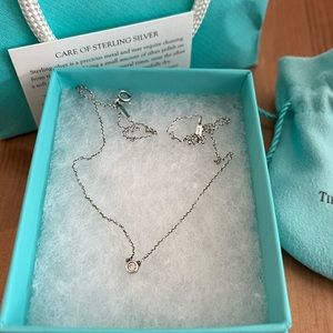 Tiffany & Co. Elsa Peretti Diamonds by the Yard Single Diamond Pendant